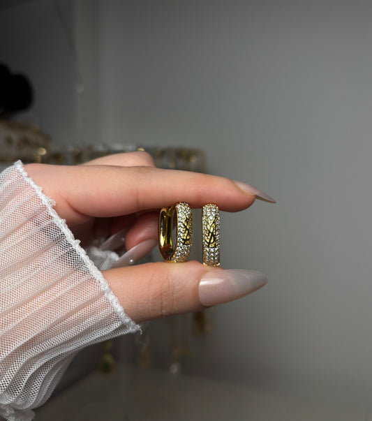 Rani earrings
