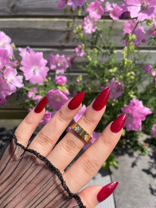 anillo brillo